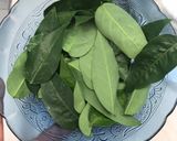 Foto langkah ke 1 dari resep Martabak Tahu Daun Katuk.