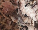 عکس مرحله 1 از دستور تن ماهی خانگی