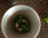 રિફ્રેશિંગ જ્યુસ (Refreshing Juice Recipe In Gujarati) રેસીપી સ્ટેપ2ફોટો