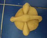 Foto del paso 6 de la receta: Pan de Muerto