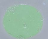 Foto langkah ke 4 dari resep Klepon Tepung Ketan Wangi Pandan.