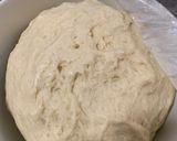 Foto del paso 4 de la receta Masa de pizza en Thermomix con 2 levados