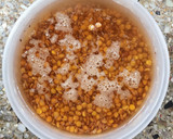 Foto del paso 1 de la receta: 🍞🥖 Pan de lentejas en 5 pasos 🥖🍞 sin harinas, sin amasado, pocos ingredientes, simple y nutritivo
