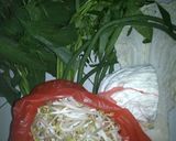 Foto langkah ke 1 dari resep Gudangan ala Semarang.