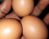 A picture of step 2 of Egg sauce #kadunastate.