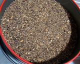 A picture of step 2 of Oreo cheese cake.