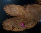 A picture of step 1 of Yam Fry.
