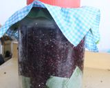 Foto langkah ke 7 dari resep Tape Ketan Hitam.