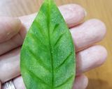 Hình bước làm 6 của món Mứt bí đao