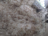 Ayam Goreng Serundeng Ampas Kelapa