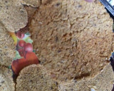 Foto del paso 3 de la receta: Chips de garbanzo
