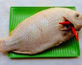 Hình bước làm 1 của món Cá điêu hồng hấp nước tương