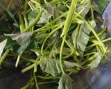 Foto langkah ke 1 dari resep Tumis kangkung.