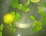 मिंट नींबू शिकंजी (mint nimbu shikanji recipe in Hindi) रेसिपी चरण 2 फोटो