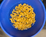 Foto del paso 1 de la receta: Mac and cheese en microondas en 10 minutos