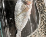 Foto del paso 1 de la receta: Orada salvatge a la sal