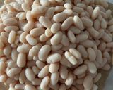Foto del paso 4 de la receta Ensalada de Alubias templadas con setas al vino blanco, crujiente de jamón y huevo poche !!!