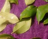 Foto del paso 1 de la receta: Paparajotes de limón