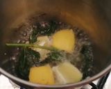 Une image de l'étape 3 de Citronade menthe fraiche citron de menton.