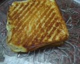 વેજ ચીઝ ટોસ્ટ સેન્ડવીચ (Veg. Cheese Toast Sandwich Recipe In Gujarati) રેસીપી સ્ટેપ5ફોટો