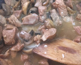 Foto del paso 8 de la receta: Cerdo teriyaki con coliflor