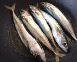 Foto del paso 1 de la receta: Caballas en escabeche