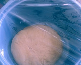 Foto del paso 2 de la receta: Pan de molde integral
