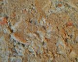 A picture of step 6 of Rice and Chicken Casserole.