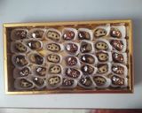 A picture of step 11 of Assorted Stuffed Dates.