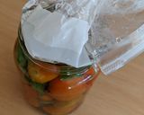 A picture of step 9 of Fermented Tomatoes & Basil.