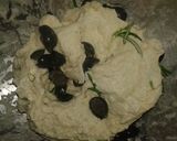 Foto del paso 2 de la receta Focaccia de aceitunas negras y romero