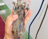 Hình bước làm 1 của món Mì gói mực lá