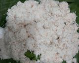 Foto langkah ke 1 dari resep Putu ayu pandan.