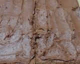 Foto del paso 2 de la receta: Torta Vertical🤤