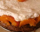 Barackos joghurtos torta recept fázis 6 fotója