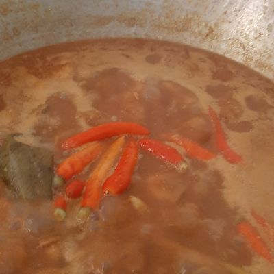 Langkah 6