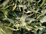 Kangkung tumis terasi