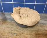 Foto del paso 4 de la receta: Bollo para pizza y pancitos saborizados con harina integral molienda fina