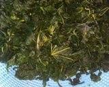 Foto langkah ke 4 dari resep Oseng² Daun pepaya praktis Dan enak.