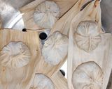 Foto del paso 9 de la receta: Dumplings