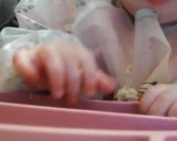 Foto del paso 5 de la receta 👶 Hamburguesas de pollo y brócoli (BLW)