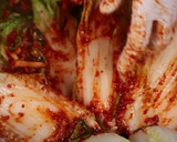 Foto del paso 4 de la receta: Kimchi