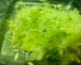 A picture of step 2 of Cucumber mint raita.