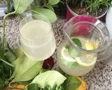 Une image de l'étape 5 de Citronade menthe fraiche citron de menton.