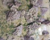 Foto del paso 4 de la receta: Matambre a la leche en olla a presión