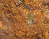 A picture of step 6 of Ropa Vieja.