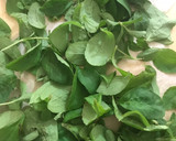 Foto del paso 2 de la receta: Estevia natural para endulzar tus bebidas