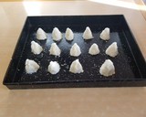 Foto del paso 3 de la receta: Coquitos saludables sin azúcar y sin tacc de pera