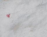 A picture of step 5 of Bread ball.