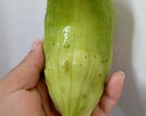 Foto del paso 9 de la receta: Caigua rellena